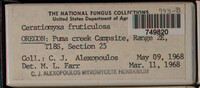 Image Associated With the Occurence